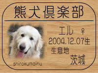 ��񂱂���̂a�k�n�f�ւf�n�I